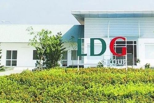 Hơn 2,6 triệu cổ phiếu của Chủ tịch LDG bị loại bỏ giao dịch