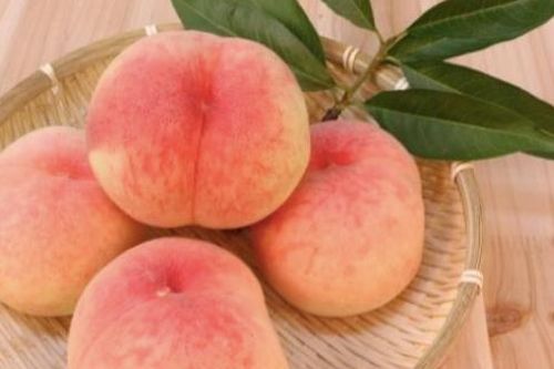 Quả đào ngon, nhiều chất bổ nhưng ai không nên ăn?