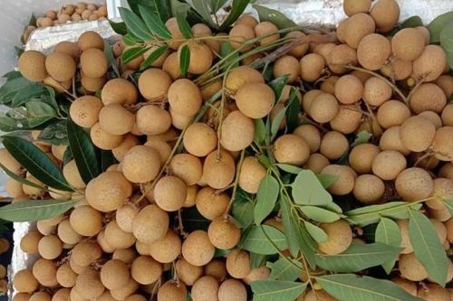 5 nhóm người tuyệt đối không nên ăn nhãn