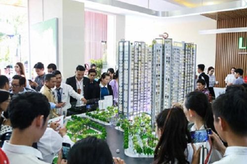 Chủ tịch bán chui cổ phiếu vì thư ký sai, nhà đầu tư tháo chạy gần 200 tỷ đồng