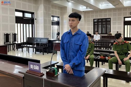 Giải cứu mẹ sau trận đánh ghen, nam thanh niên lãnh án 8 năm tù