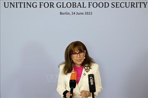 UNCTAD đánh giá tiềm năng tham gia chuỗi cung ứng toàn cầu của châu Phi