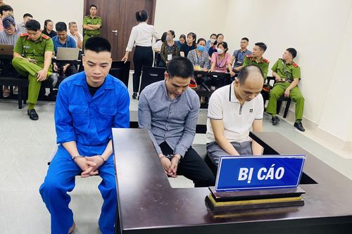 Phạt tù nhóm đối tượng giam giữ, tra tấn lập trình viên người nước ngoài