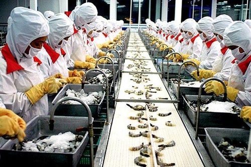 Không công bố thông tin, Đầu tư Thương mại Thủy sản bị phạt 85 triệu đồng