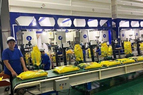 Xuất khẩu gạo tăng, Gạo Trung An kinh doanh ra sao?