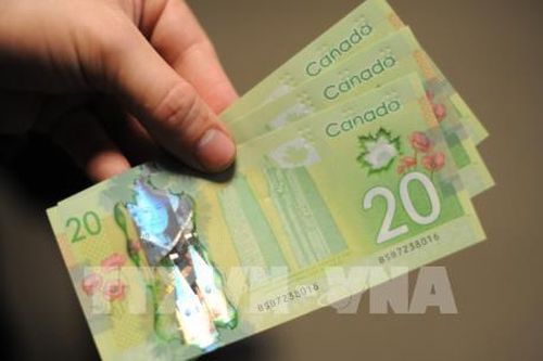 Người dân Canada đối mặt với 'quả bom hẹn giờ' vay thế chấp