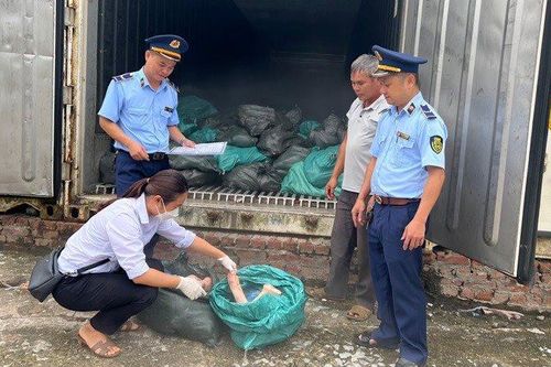 Chặn 1,5 tấn thực phẩm bẩn, bốc mùi đang đưa trên đường đi tiêu thụ
