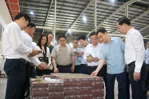 Nông dân cần đổi mới tư duy về sản xuất nông nghiệp, ứng dụng chuyển đổi số