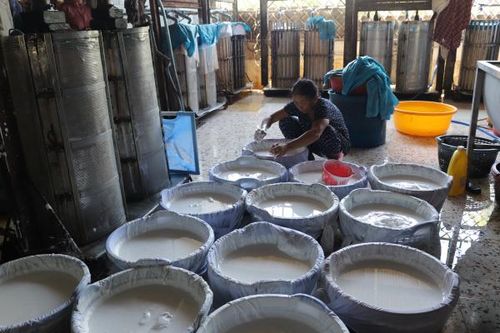 Thị trấn Diên Khánh: Kiểm soát nguồn nước thải từ các cơ sở làm bún