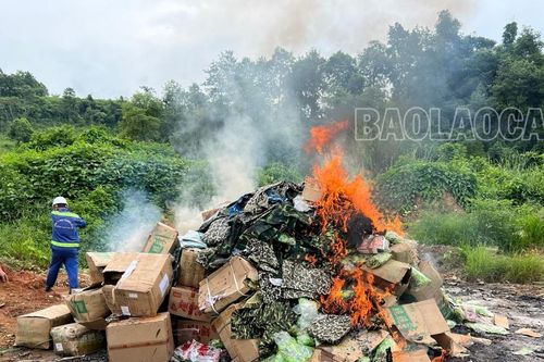 Tiêu hủy 4 lô hàng không rõ nguồn gốc, xuất xứ