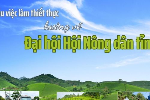 Nhiều việc làm thiết thực hướng về Đại hội Hội Nông dân tỉnh