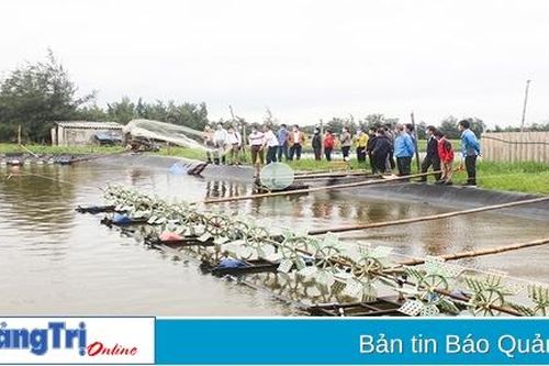 Đồng hành với nông dân nâng cao trình độ sản xuất