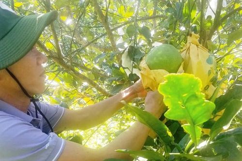 Những mô hình hiệu quả trong hợp tác xã kiểu mới