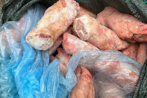 Lạng Sơn: kịp thời ngăn chặn 1,5 tấn chân giò lợn bốc mùi đang lưu thông trên thị trường