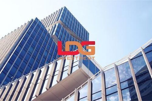 Cổ phiếu LDG giảm sàn sau tin Chủ tịch giao dịch 'chui'