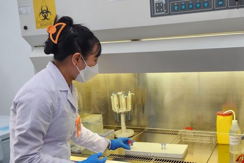 TP HCM lập ngân hàng huyết thanh với sức chứa lên tới 450.000 mẫu