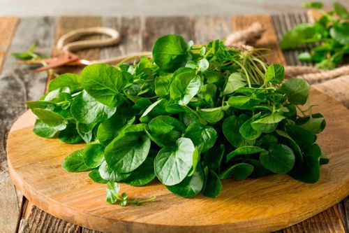 Loại rau được CDC Mỹ công bố tốt nhất thế giới lại tiềm ẩn nguy cơ gây hại gan