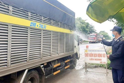 Tăng cường kiểm dịch động vật