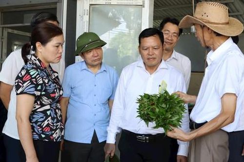 Ứng dụng công nghệ số - Chìa khóa mở cánh cửa nông nghiệp hiện đại
