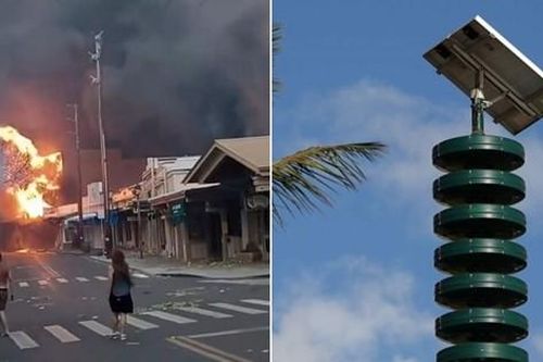 Lý do còi báo động lặng ngắt khi cháy rừng ở Maui: Người phụ trách quyết định không bấm