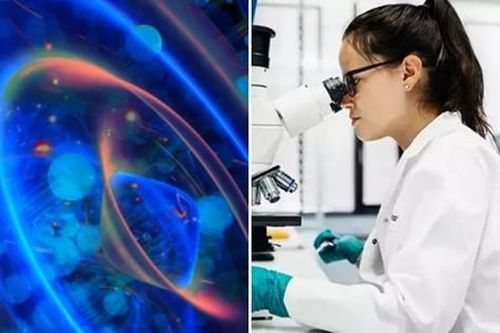 Tìm thấy 'hạt của quỷ' bí ẩn mà các nhà khoa học từng không tin rằng có tồn tại