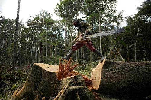 Amazon đang bị 'giày xéo' đến mức nào?