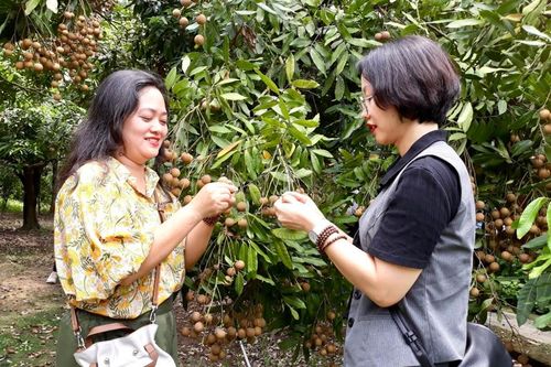 Đi tìm giải pháp thu hút khách du lịch cho Hưng Yên