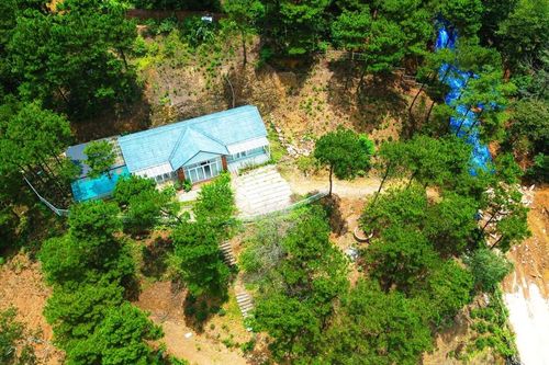 Huyện Sóc Sơn 'chốt' thời gian xử lý dứt điểm hàng chục vi phạm đất rừng