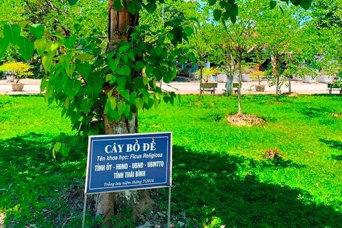 Sức sống mới nơi 'Tọa độ lửa'