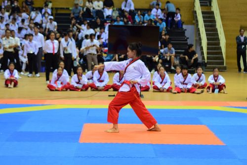 250 vận động viên dự giải Taekwondo vô địch các CLB TP Đà Nẵng