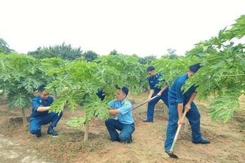 Trung đoàn Radar 293, Sư đoàn 361: Đẩy mạnh tăng gia, chăn nuôi