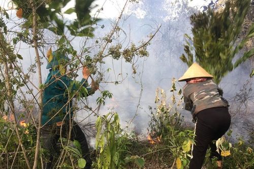 Cụ ông nghi bị chết cháy khi đốt vườn