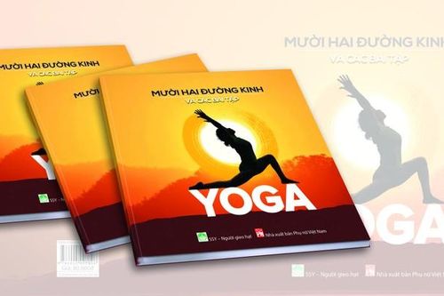 Sách 'Mười hai đường kinh và các bài tập yoga'