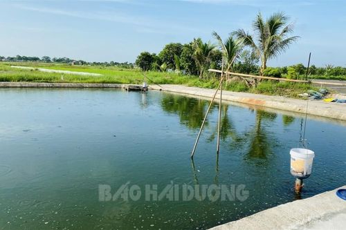 Hải Dương: Cứu cháu ngoại, 2 ông cháu đuối nước thương tâm