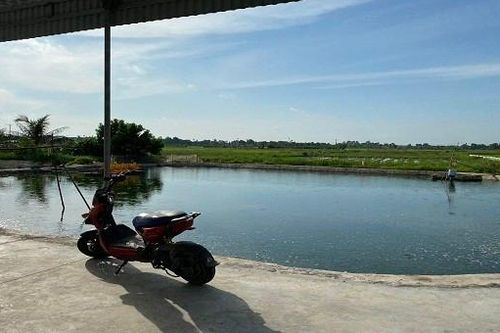 Cứu cháu đuối nước, hai ông cháu tử vong thương tâm