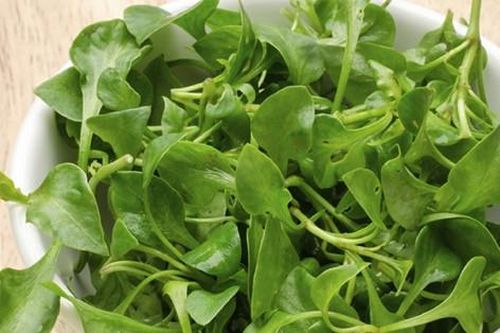 Loại rau tốt nhất cho sức khỏe: Bán đầy chợ, giá rẻ bèo