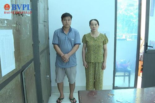 Khởi tố 2 đối tượng mua bán, vận chuyển hàng chục cá thể rùa, rắn hổ mang
