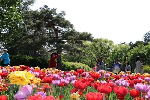 Trung Quốc gây sức ép với Canada thông qua hoạt động du lịch