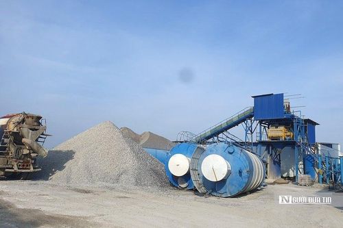 Hải Phòng: Giải quyết dứt điểm các trường hợp vi phạm đê điều