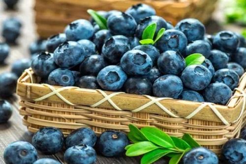 Những loại trái cây giúp cải thiện thị lực hiệu quả, người bị cận thị nên chăm chỉ ăn