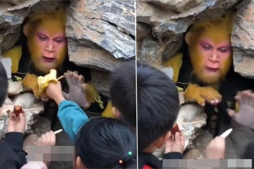 Clip 'Tôn Ngộ Không' bị các em nhỏ đút đồ ăn đến mức không kịp thở gây sốt MXH