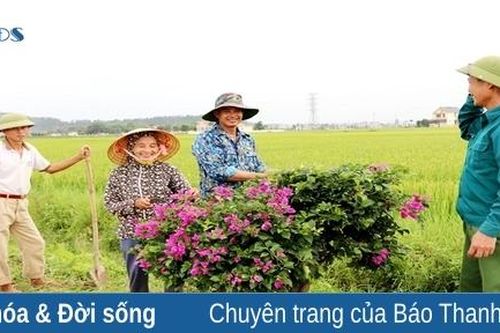 Cùng nhau kiến tạo 'miền quê đáng sống' Quảng Trường