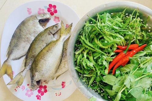 Gửi một miền thương