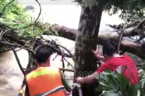 Mường Khương: Một nam giới tử vong vì bị lũ cuốn