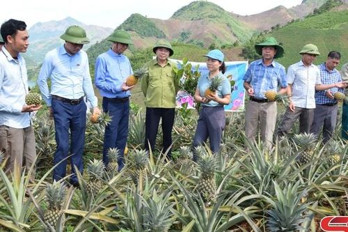 Nâng cao chất lượng nguồn nhân lực các hợp tác xã
