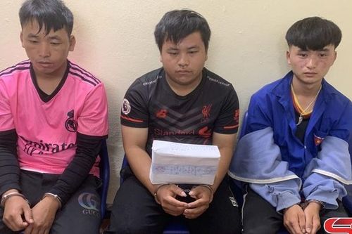Bắt giữ 3 đối tượng vận chuyển trái phép 2 bánh hê-rô-in
