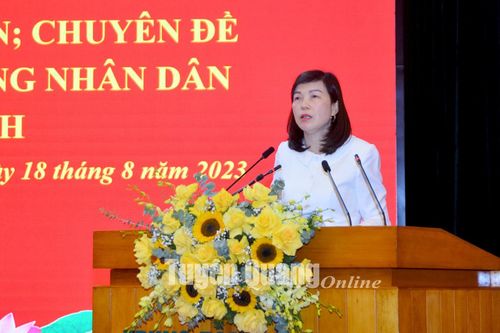 Tổng kết thi hành Luật hoạt động giám sát của Quốc hội và HĐND