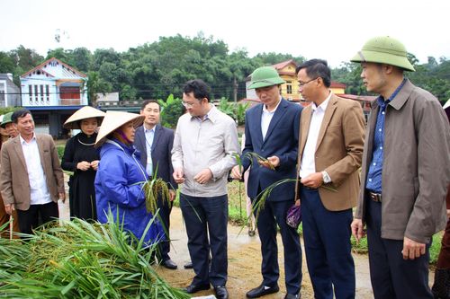 Ôn Lương vững bước đi lên