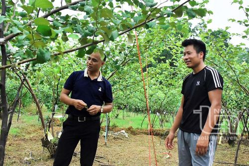 Đất không phụ công người