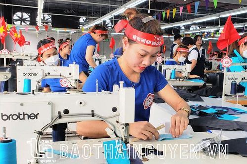 Thực hiện quyết liệt, hiệu quả các nhiệm vụ, giải pháp đã đề ra